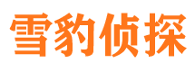 朔城捉小三公司